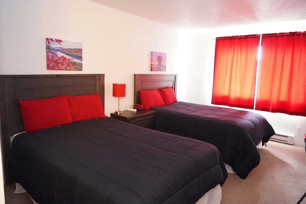 Standard Pet Friendly Room 2 Double beds photo 1