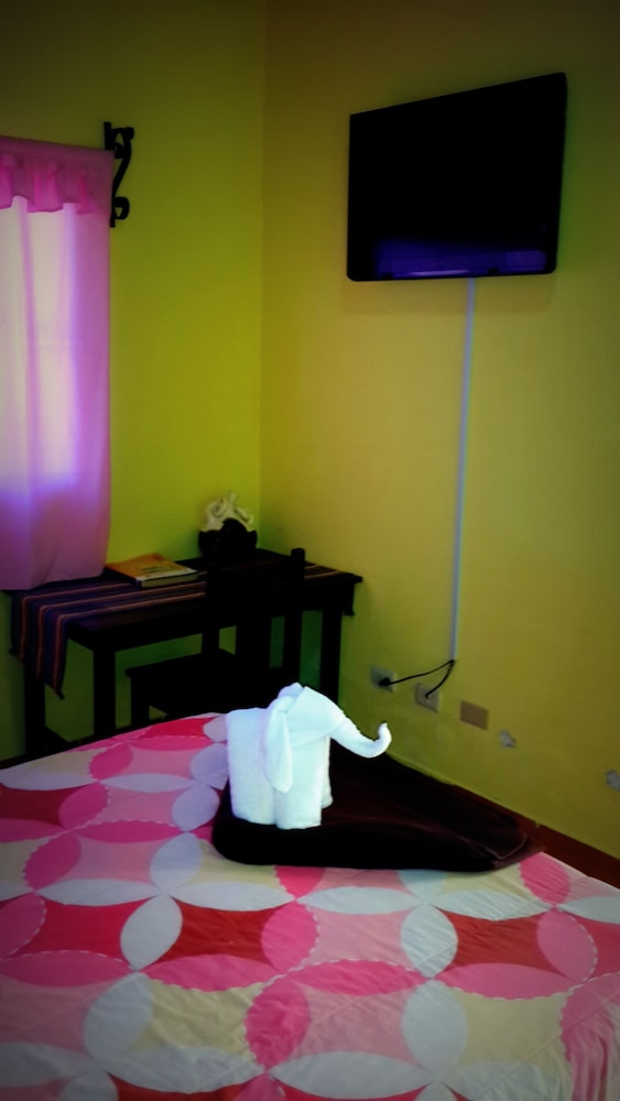 Single Room photo 3