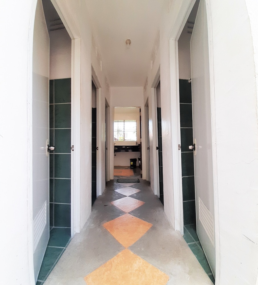 Budget Single Room photo 2