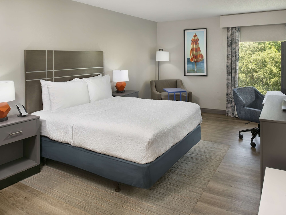 Room, 1 King Bed, Bathtub photo 2