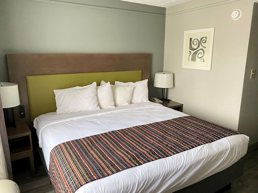 Suite, 1 King Bed with Sofa bed, Non Smoking, Refrigerator & Microwave (with Sofabed) - Photo 1
