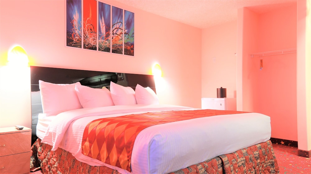 Premium Comfort Room, 1 King Bed photo 1