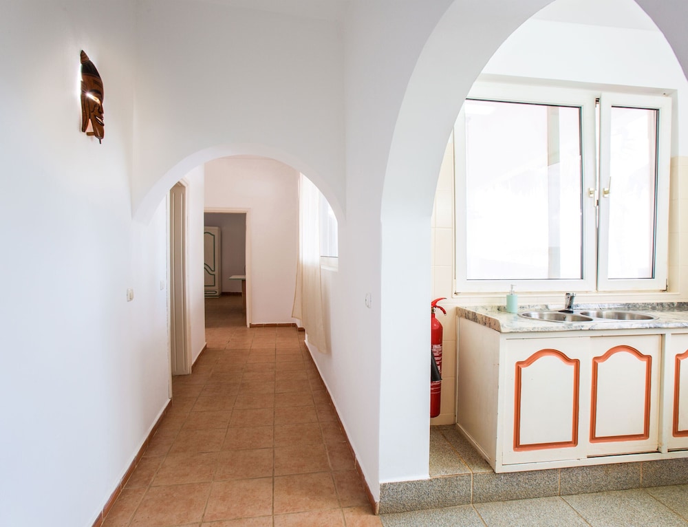 Classic Apartment photo 3