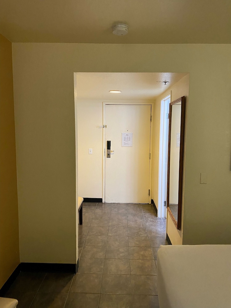 Deluxe Suite (Smoking) - Photo 3