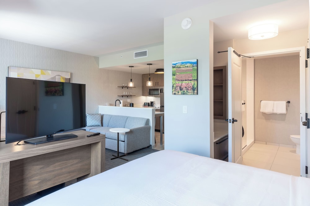 Studio, 1 King Bed with Sofa bed (Mobility Accessible, Roll-in Shower)