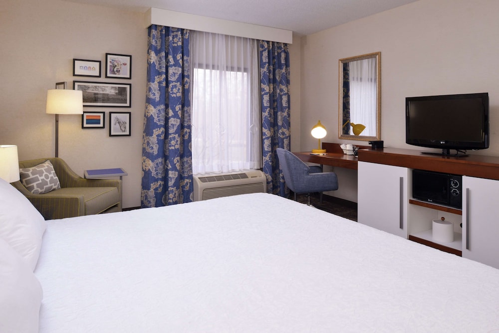 Room, 1 King Bed, Accessible, Non Smoking photo 2