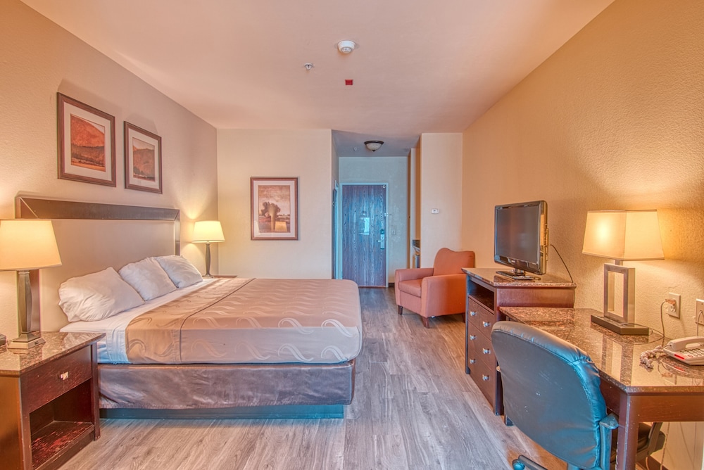 Suite, 1 King Bed photo 1