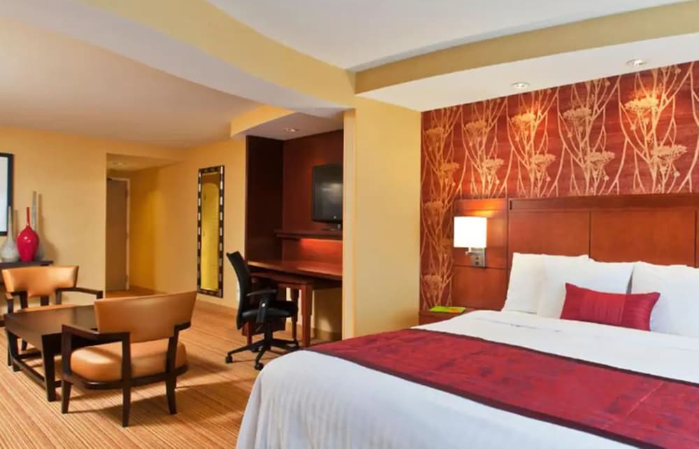 Executive Suite, 1 Bedroom photo 3