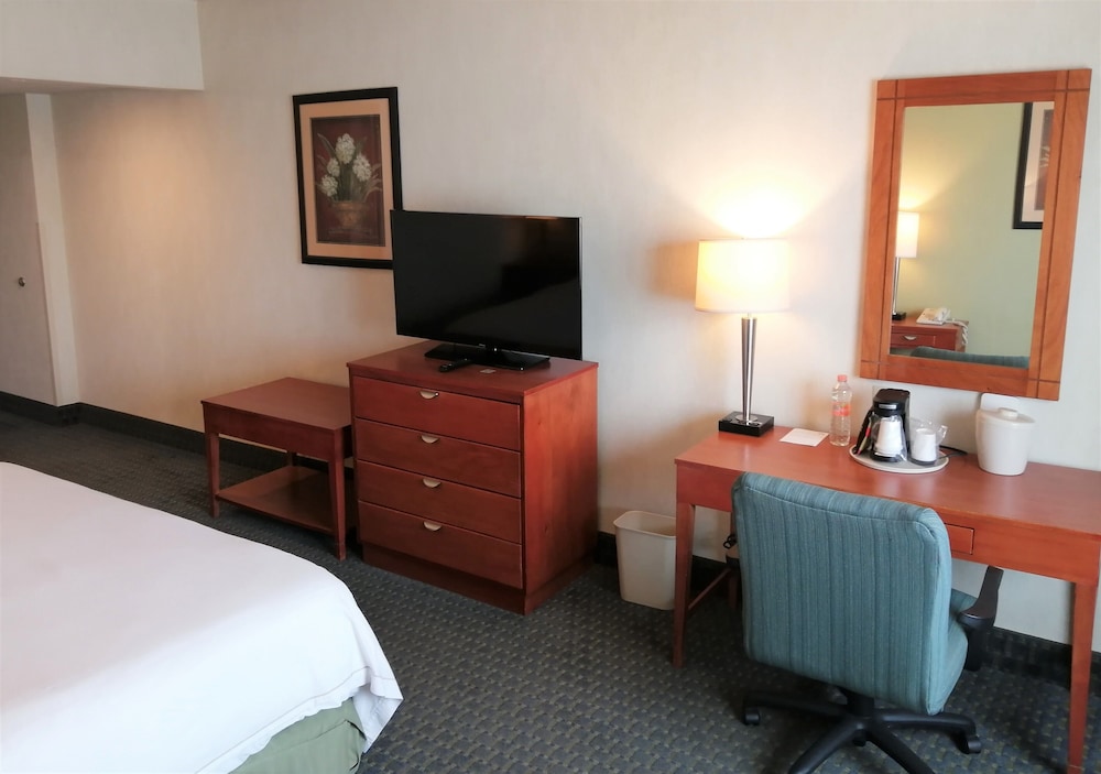 Standard Room, 1 King Bed - Photo 10