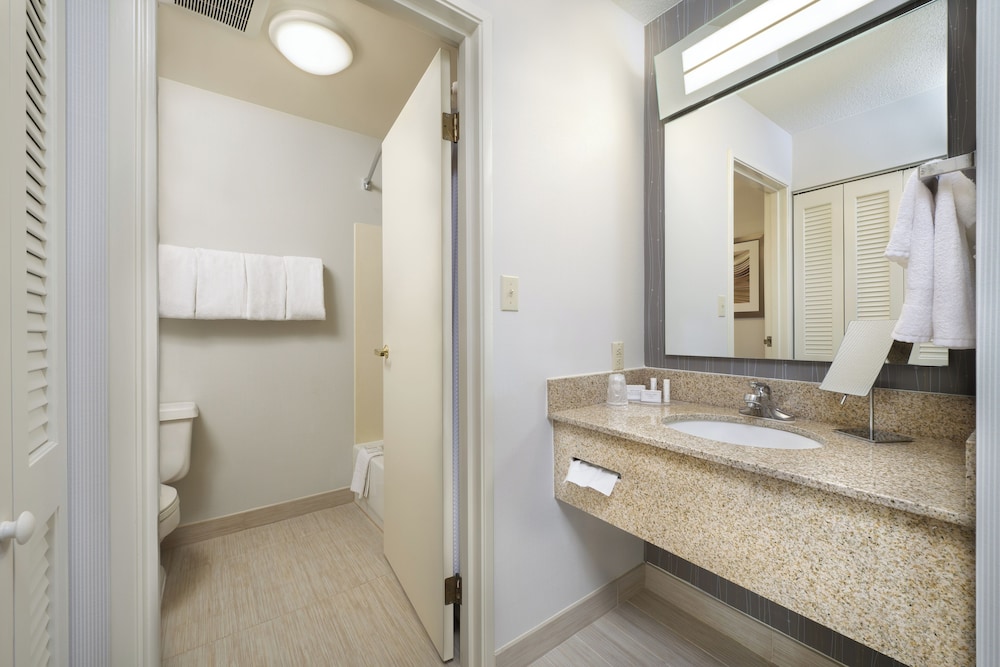 Suite, 1 Bedroom photo 3