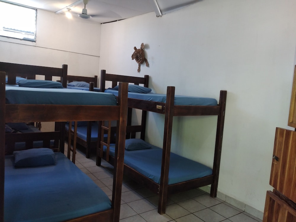 Basic Shared Dormitory photo 2