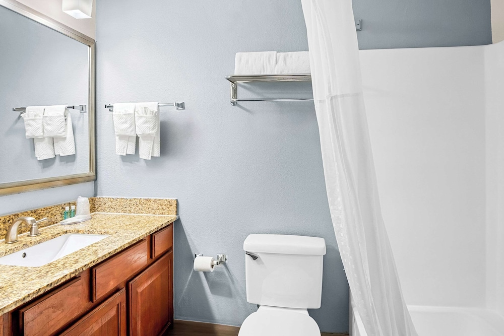 Suite, 1 Queen Bed, Non Smoking (Efficiency, Pet Friendly) - Photo 5