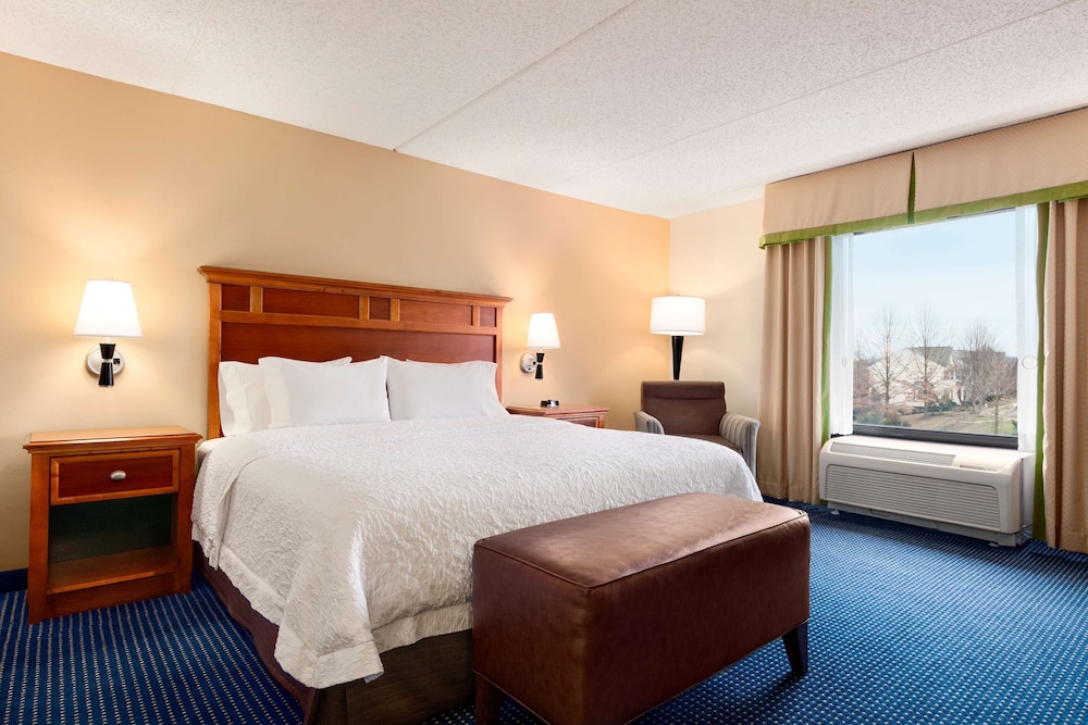 Room, 1 King Bed, Accessible, Non Smoking (Mobility, Hearing, Roll-In Shower) photo 3