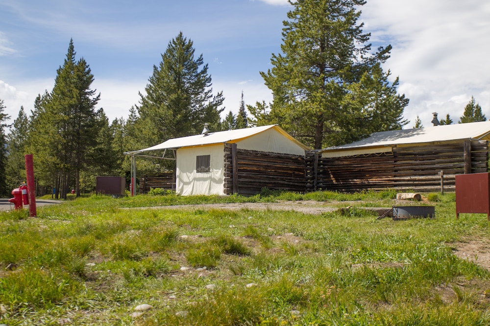 Tent Cabins (Camping - no electricity, no bed linens, shared bath) photo 3