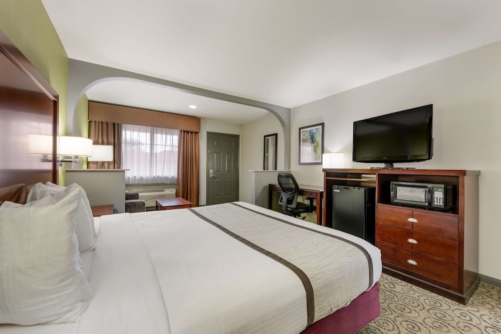 Standard Room, 1 King Bed, Non Smoking, Refrigerator & Microwave