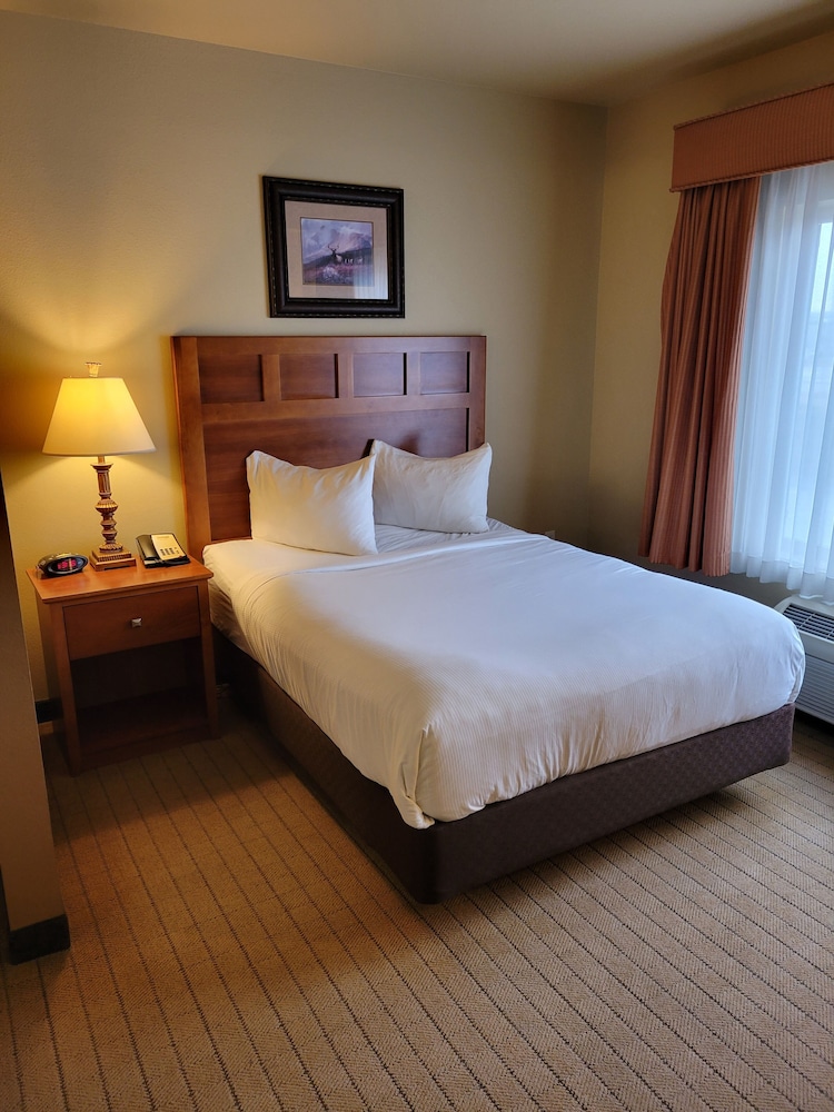 Deluxe Studio Suite, Kitchen (1 Queen Bed Studio Half Kitchen) photo 3