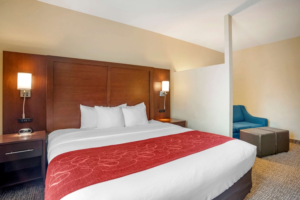 1 King Bed with Double Sized Sofa bed, Accessible, Non Smoking - Photo 15