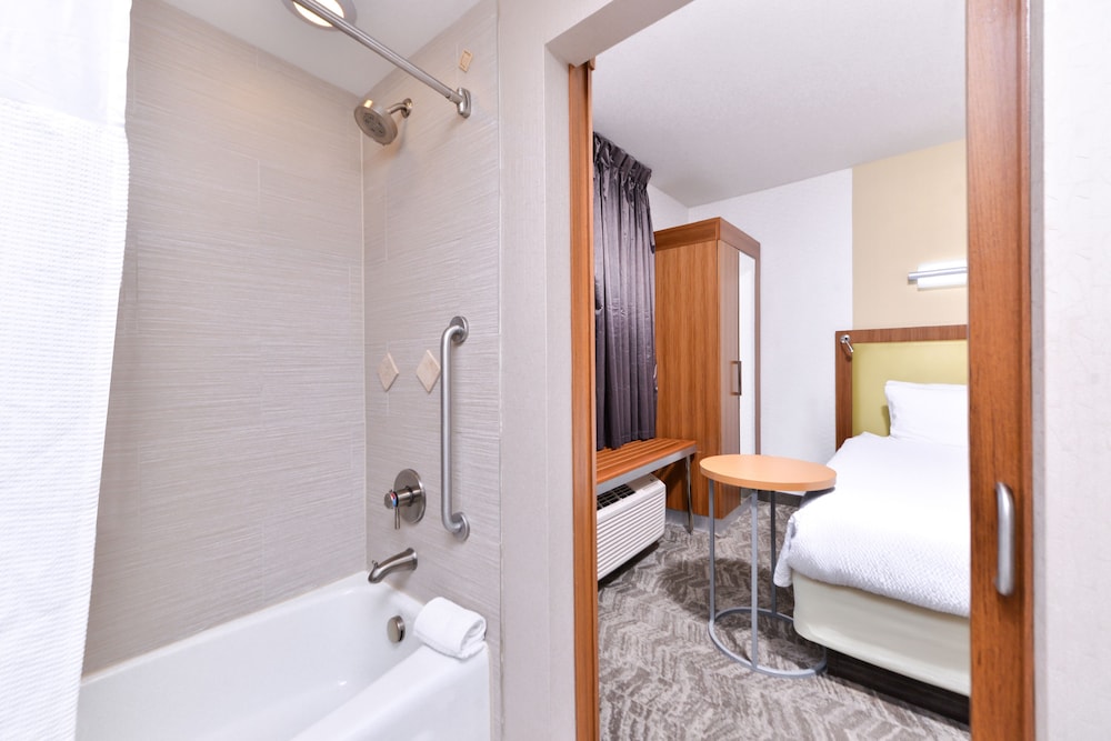 Studio, Multiple Beds (Hearing Accessible) photo 1