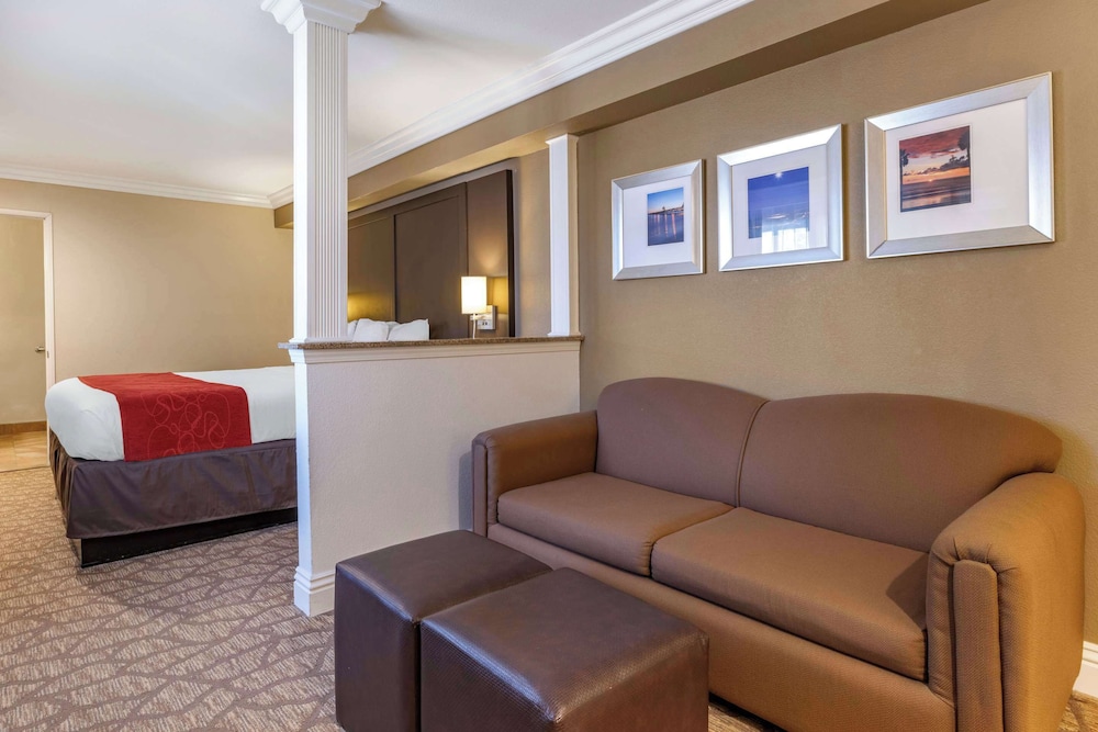 Suite, 1 King Bed with Sofabed, Accessible Roll-In Shower, Non Smoking - Photo 8