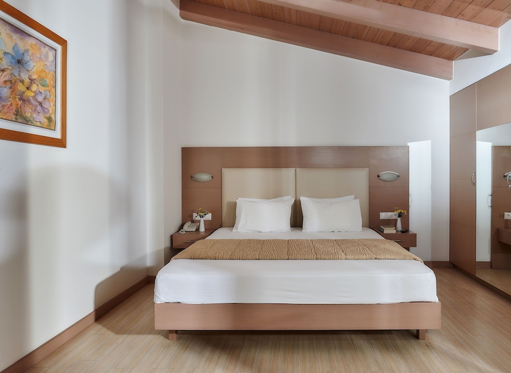 Double Room Single Use photo 3