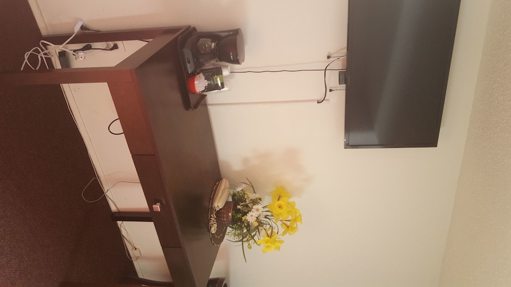 Single Room, photo 7