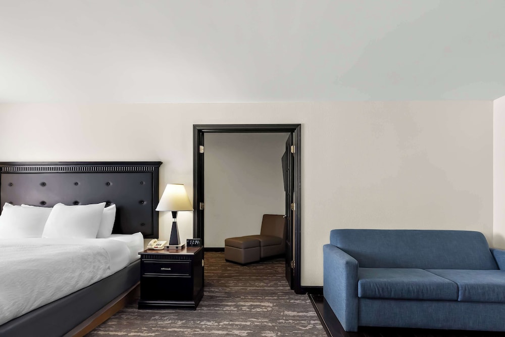 Suite, 1 King Bed With Sofa Bed, Non Smoking, Refrigerator & Microwave (With Sofabed) photo 3