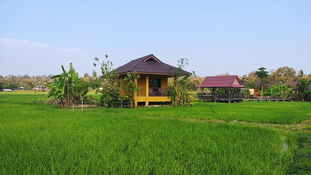 Superior Double Bungalow (8)
