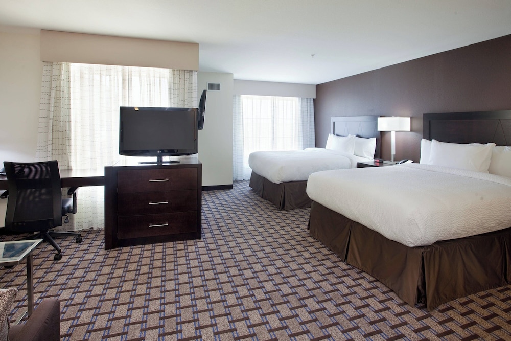 Studio Suite, Multiple Beds