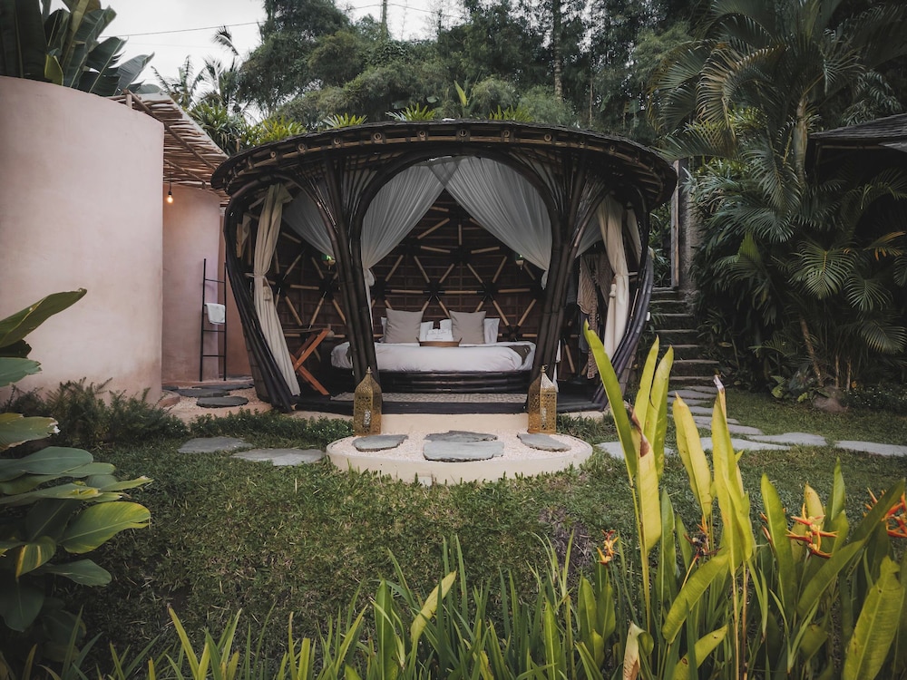 Lotus Bamboo house photo 3