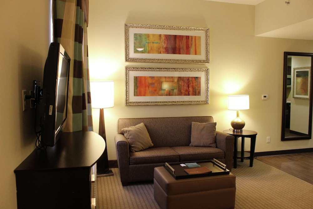 Studio Suite, 1 King Bed, Non Smoking photo 3