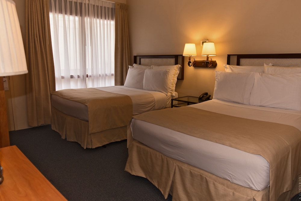 Standard Two Full Beds - Photo 2