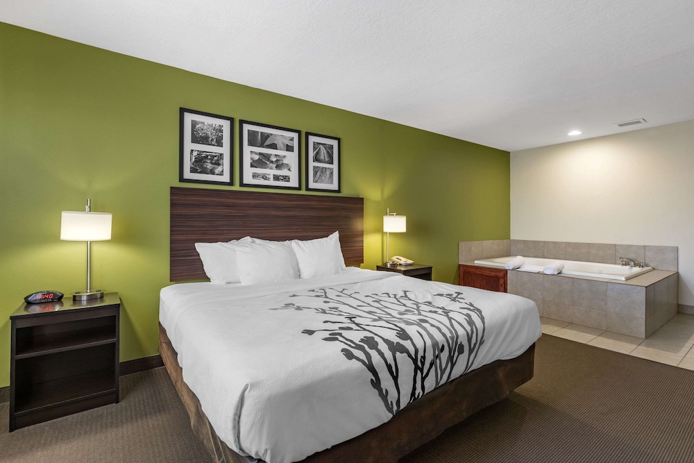 Suite, 1 King Bed with Sofa bed, Accessible, Non Smoking - Photo 1