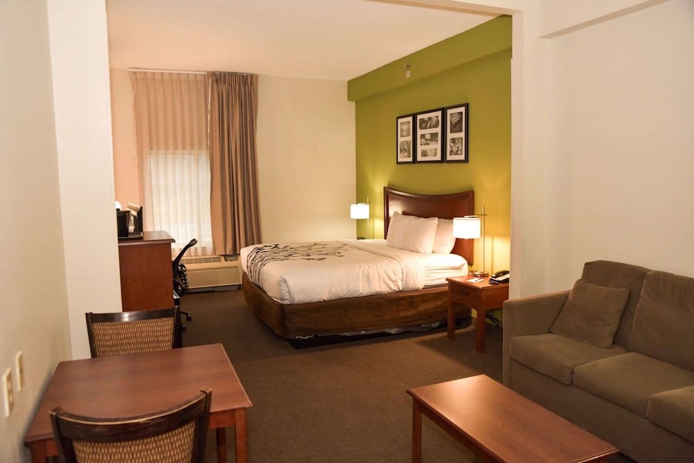 Standard Room, 1 King Bed, Non Smoking photo 2