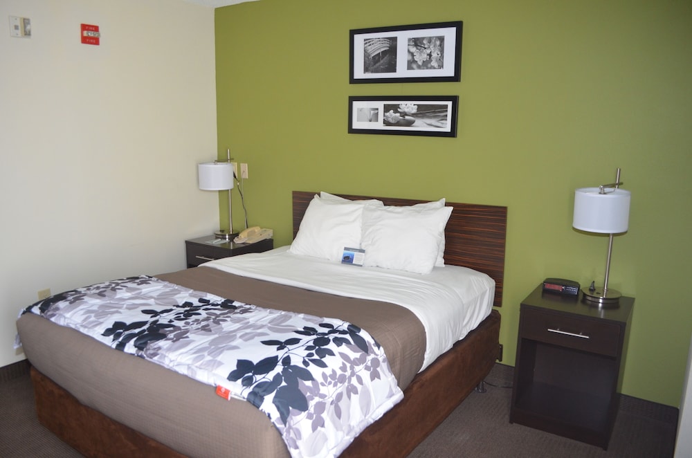 Standard Room, 1 Queen Bed, Non Smoking photo 3
