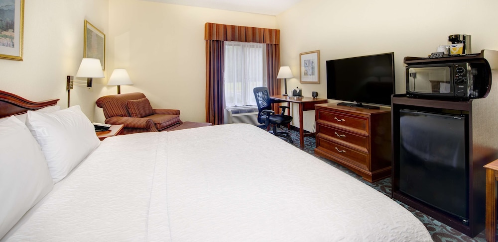 Room, 1 King Bed, Accessible, Non Smoking - Photo 3