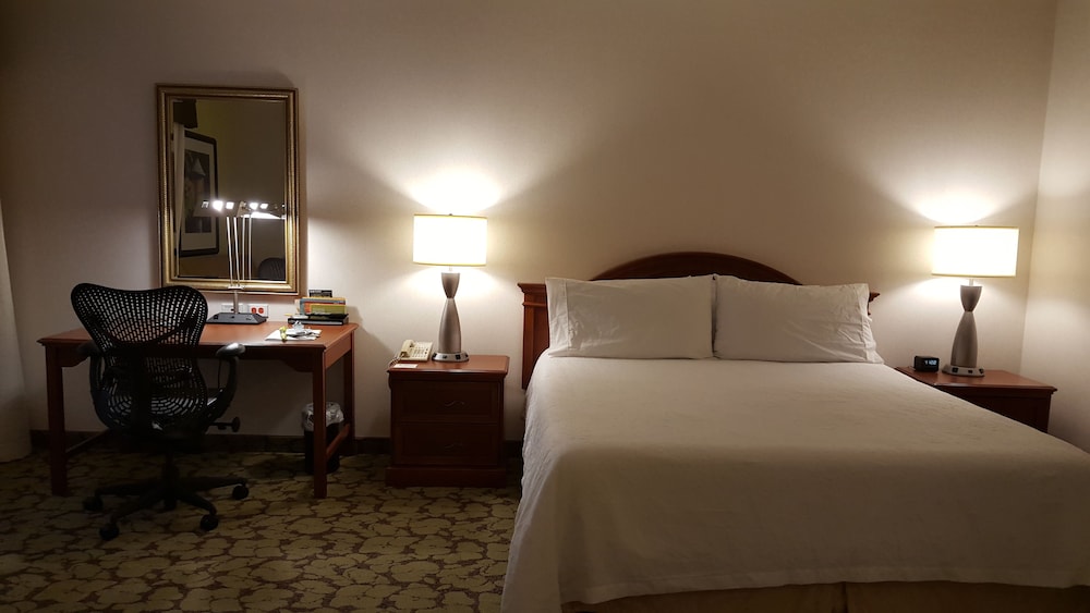 Room, 1 King Bed, Accessible photo 3