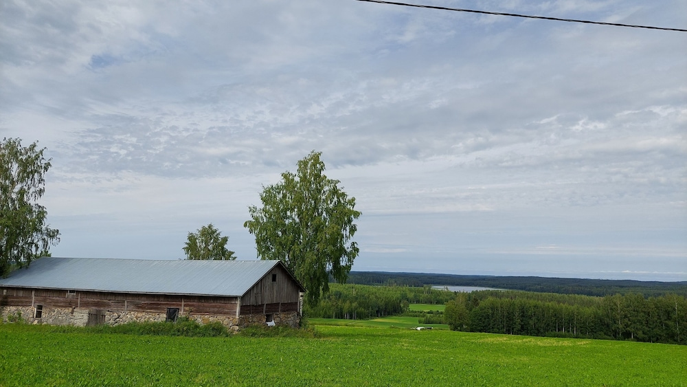 Cottage photo 3