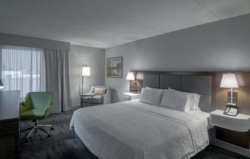 Room, 1 King Bed, Accessible (Mobility & Hearing, Standard Shower) - Photo 1