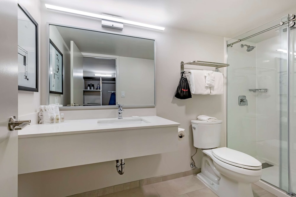 Suite, 1 King Bed, Non Smoking, Refrigerator & Microwave (with Sofabed) - Photo 4