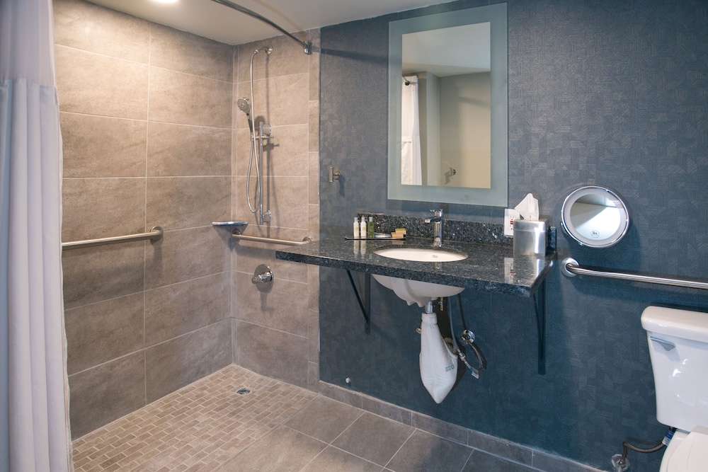 Suite, 1 King Bed, Accessible (Fitness Suite, Roll-In Shower) photo 3