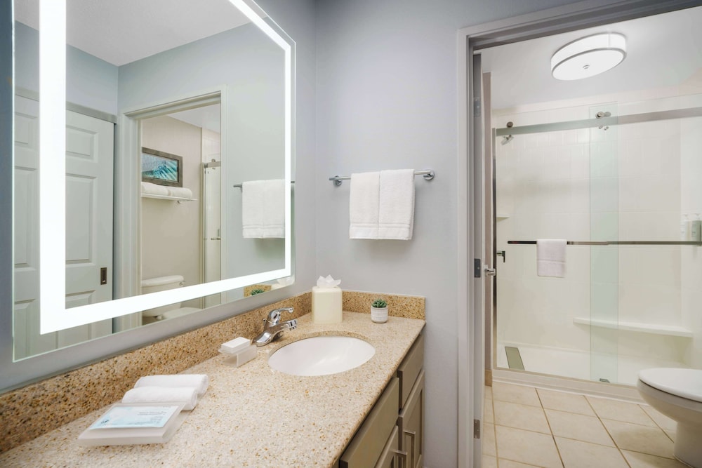 Suite, 1 Bedroom - Photo 4