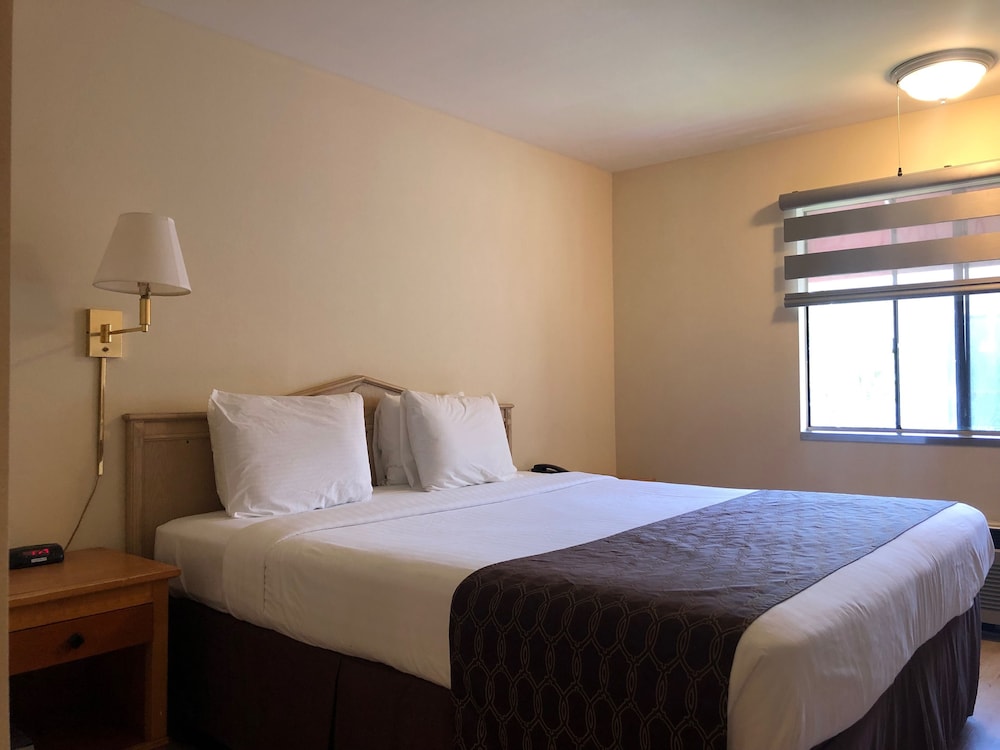 Economy Room, 1 King Bed photo 1