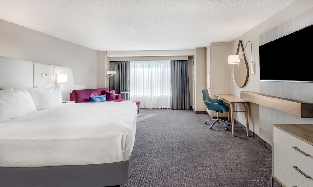 Suite, 1 Bedroom - Photo 3