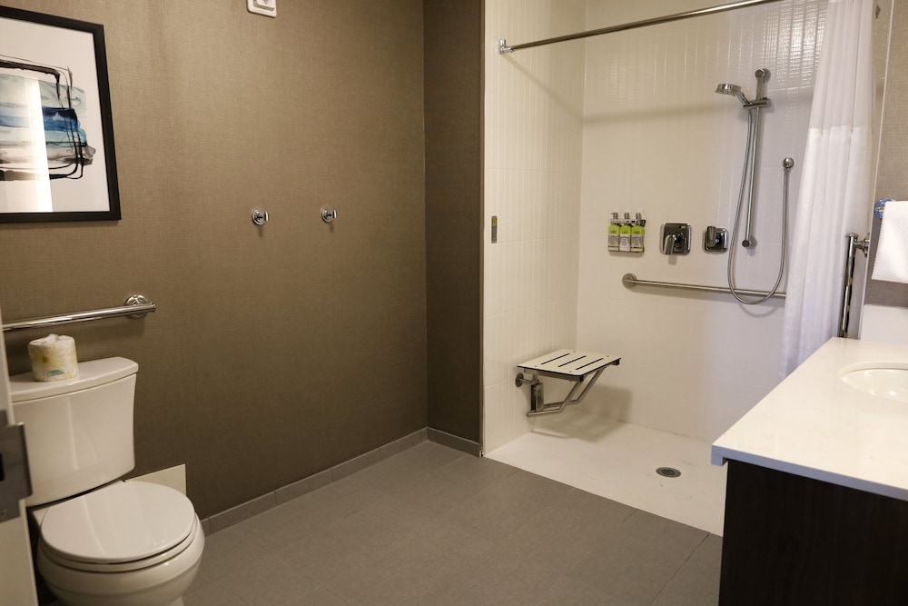 Suite, 1 Bedroom, Roll-in Shower, Kitchen (Communications Accessible) - Photo 5
