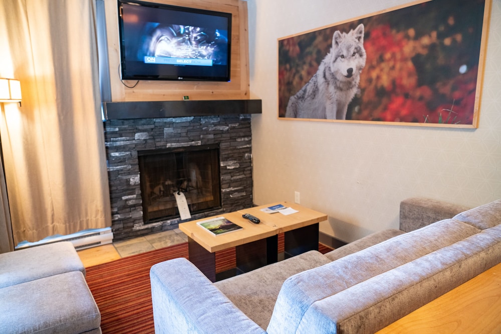 Suite (One Bedroom Wolf) - Photo 4