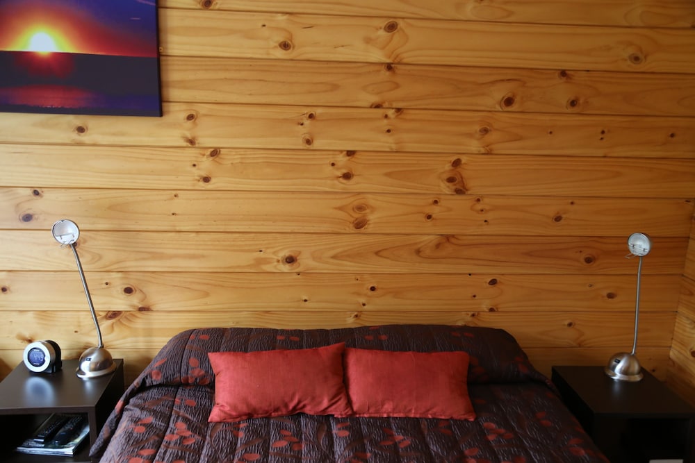 Kamahi Tree House photo 2