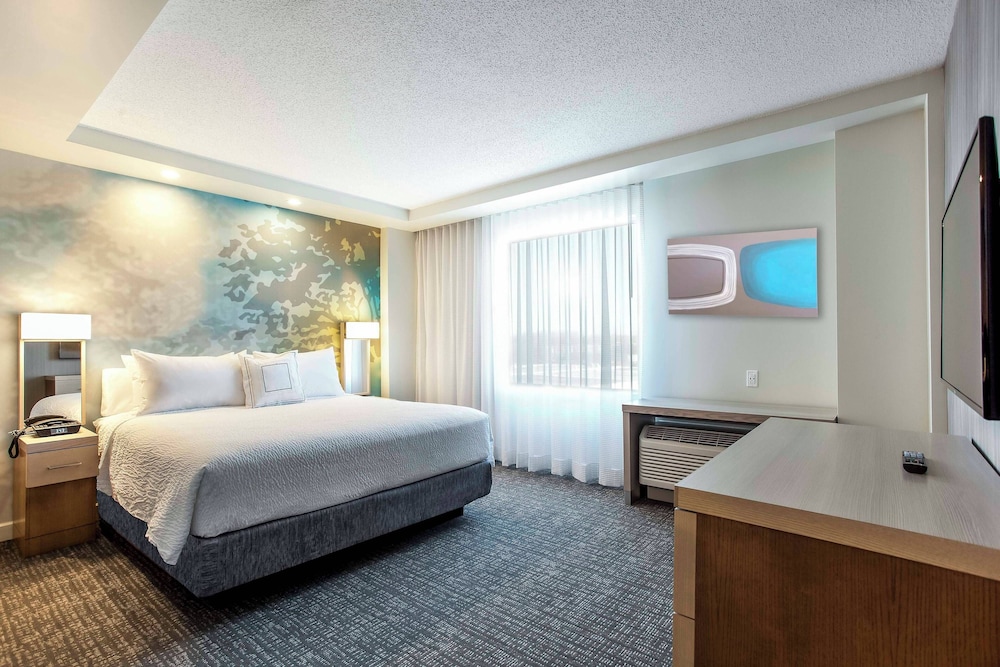 Suite, 1 King Bed with Sofa bed photo 3