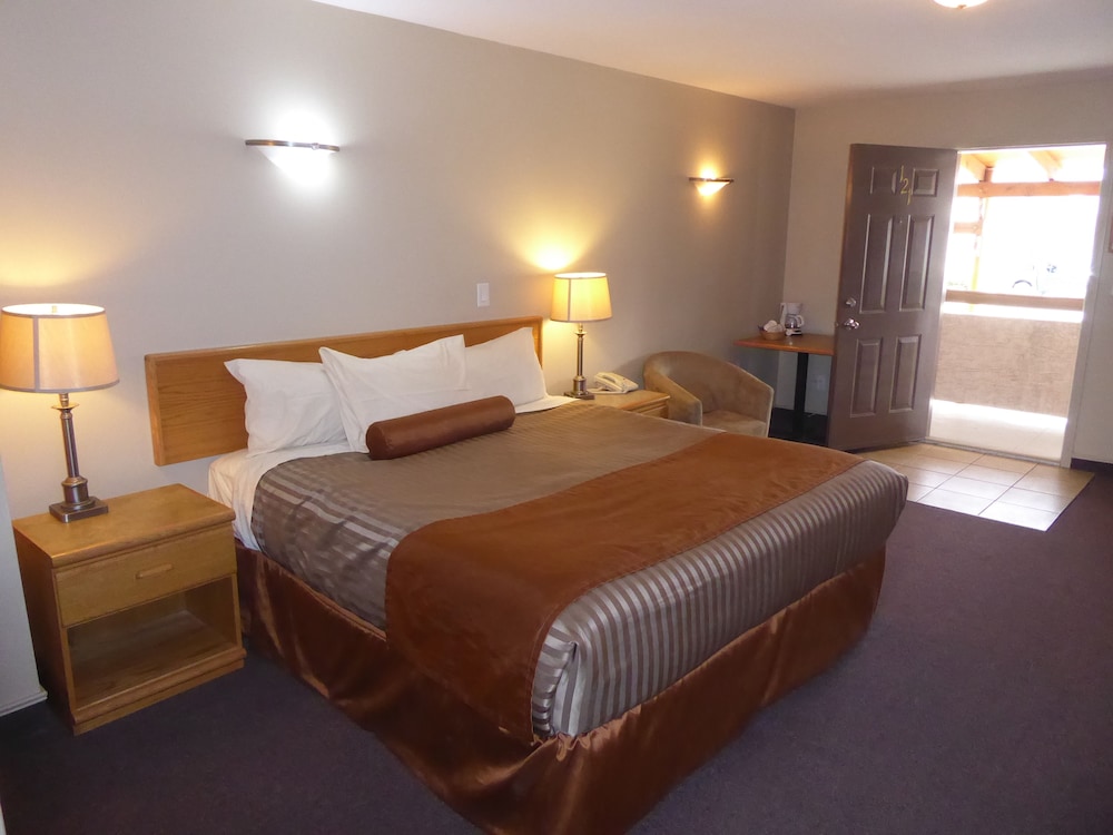 Standard Room, 1 King Bed, Accessible (Pet room) photo 3