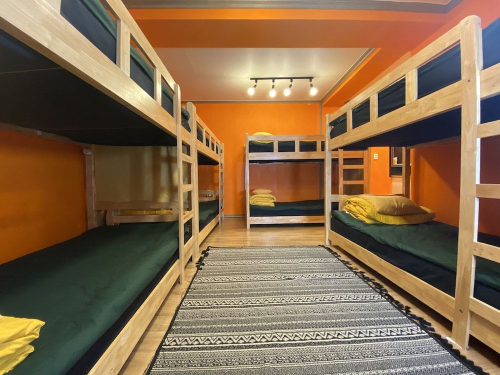 Basic Shared Dormitory, Women only photo 1