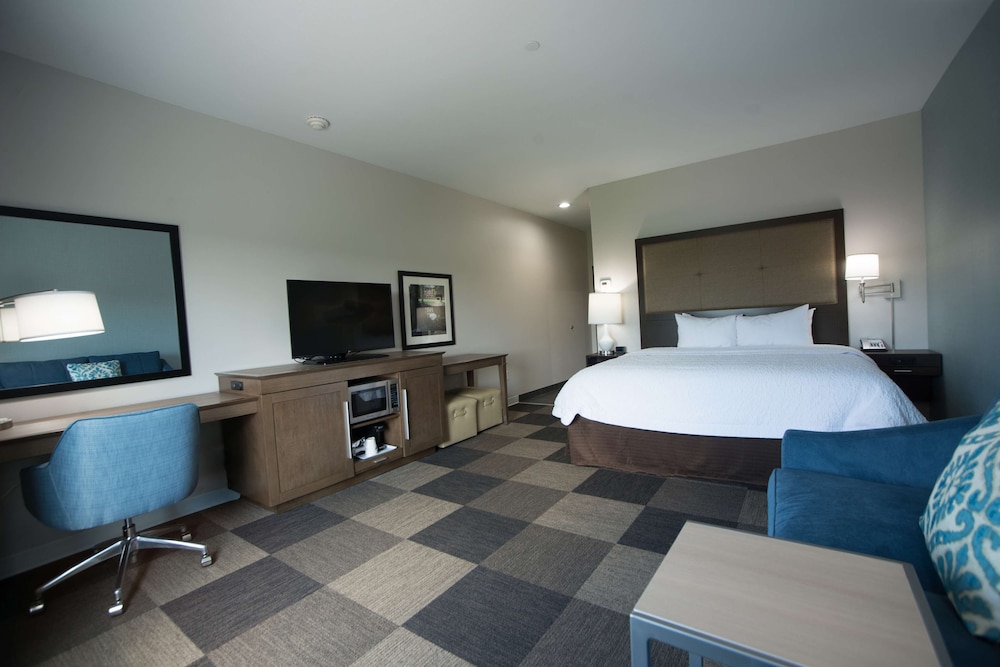 Studio, 1 King Bed, Accessible, Non Smoking (Roll In Shower) photo 2
